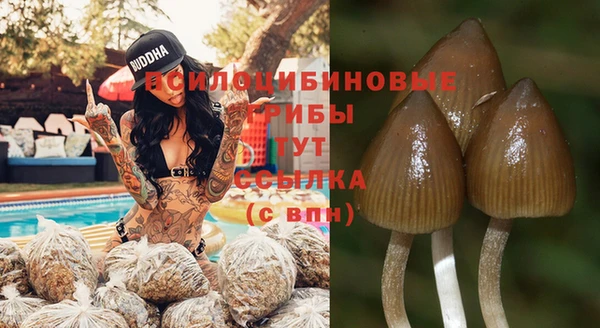 MESCALINE Верея