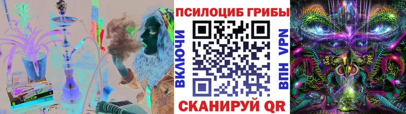 Псилоцибиновые грибы GOLDEN TEACHER  Кызыл 