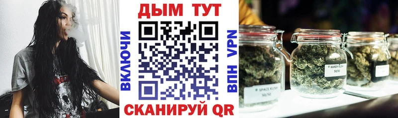 продажа наркотиков  Кызыл  сайты даркнета состав  Шишки марихуана SATIVA & INDICA 